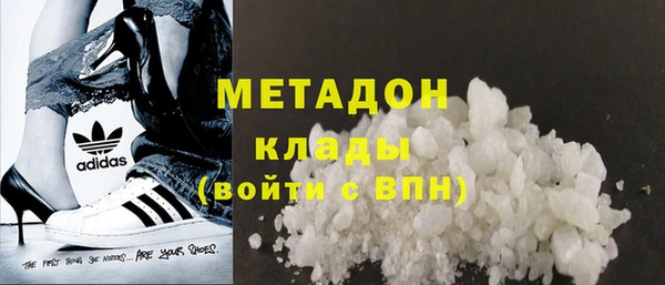 стаф Алзамай