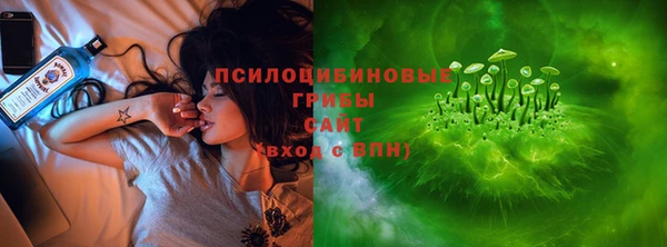 дживик Алексеевка