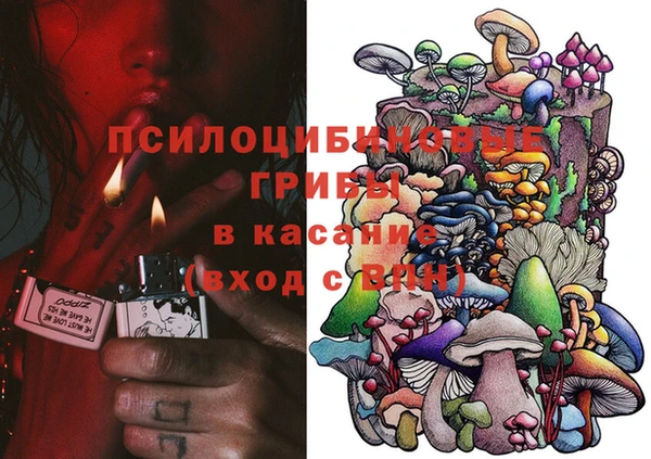 стаф Алзамай
