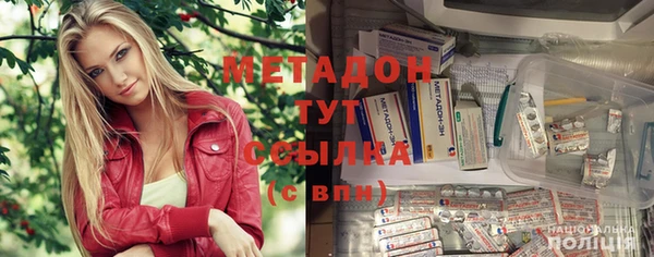 стаф Алзамай