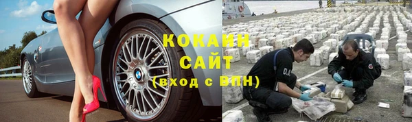 стаф Алзамай