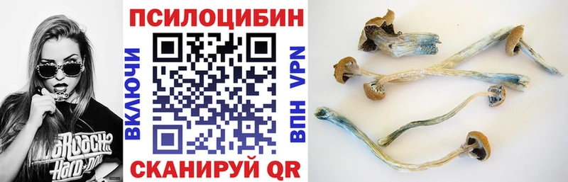 где найти наркотики  Межгорье  Галлюциногенные грибы GOLDEN TEACHER 